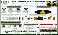 هویت گذاری و پلاک کوبی دام گامی مهم برای سلامت، مدیریت و توسعه دامپروری